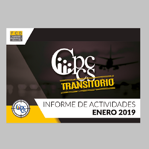 CPCCS-T: Informe de actividades enero 2019